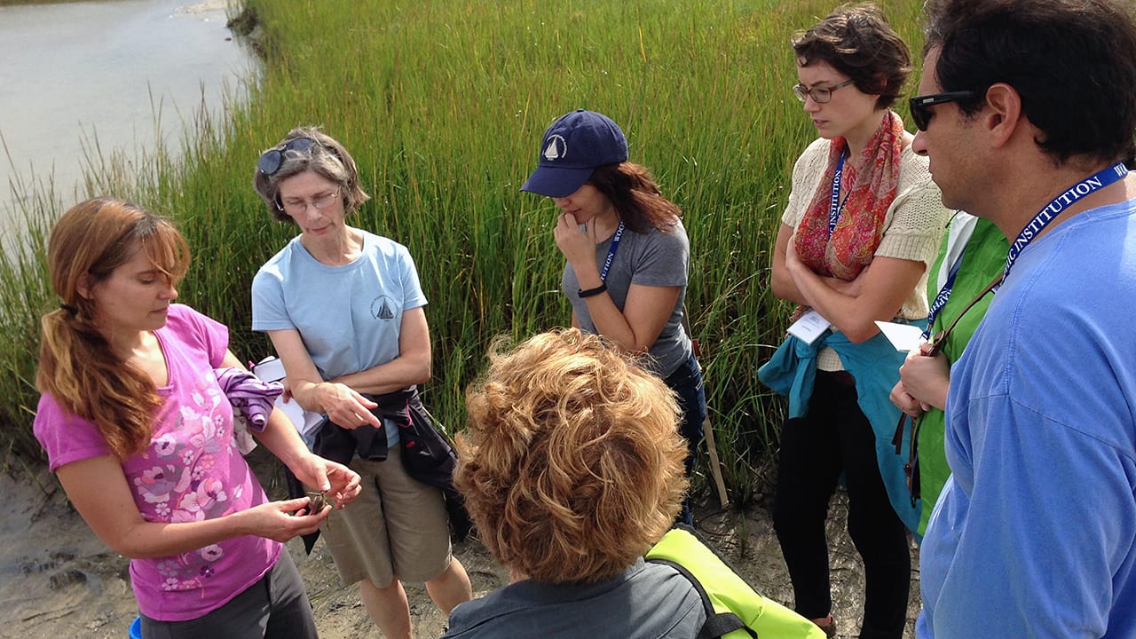 Beachcombing With Biologists