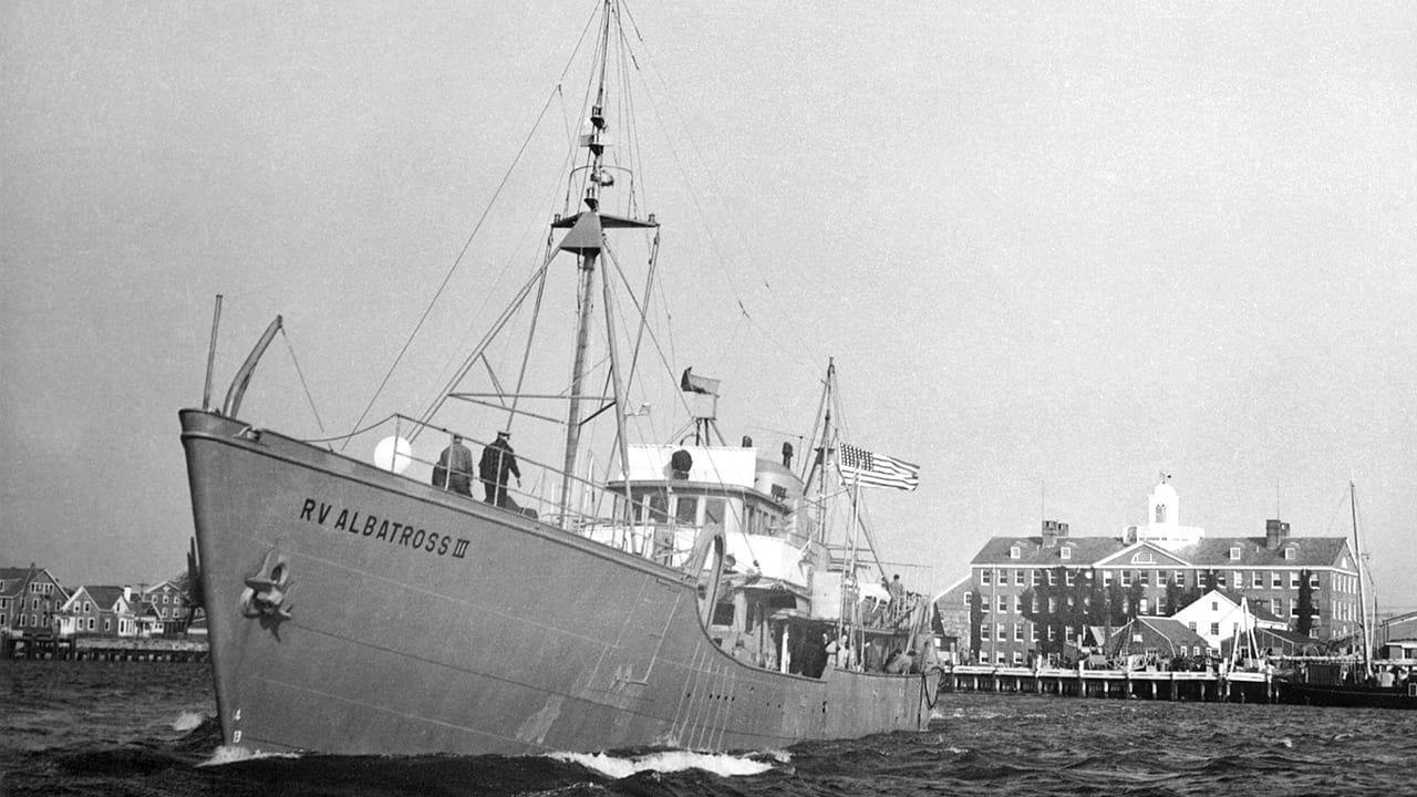 Albatross III