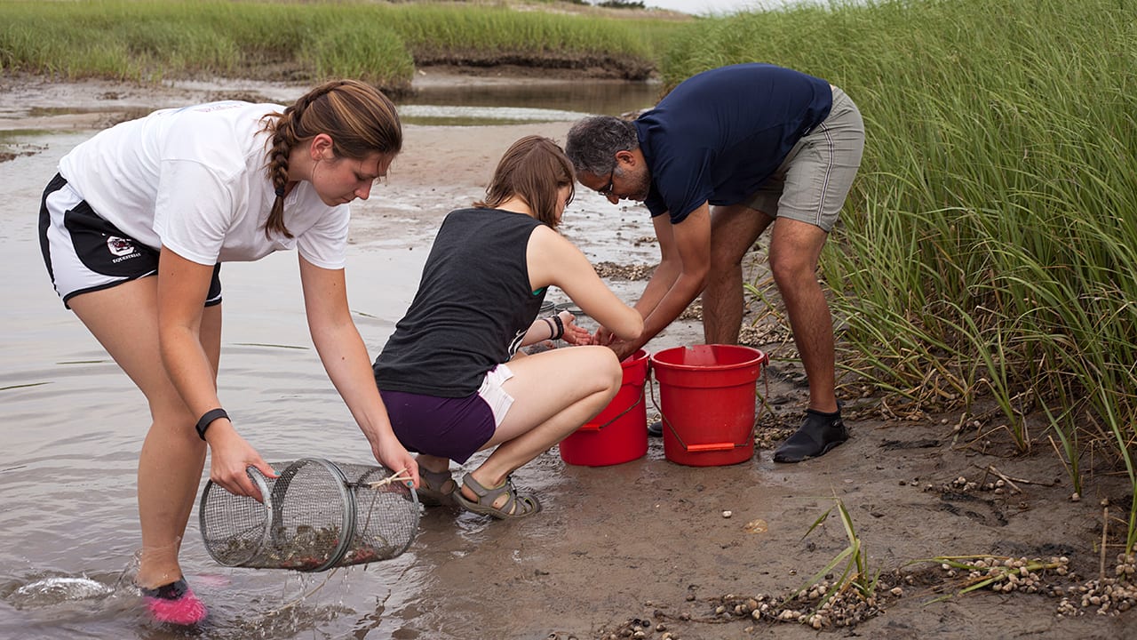 Getting Their Feet Wet