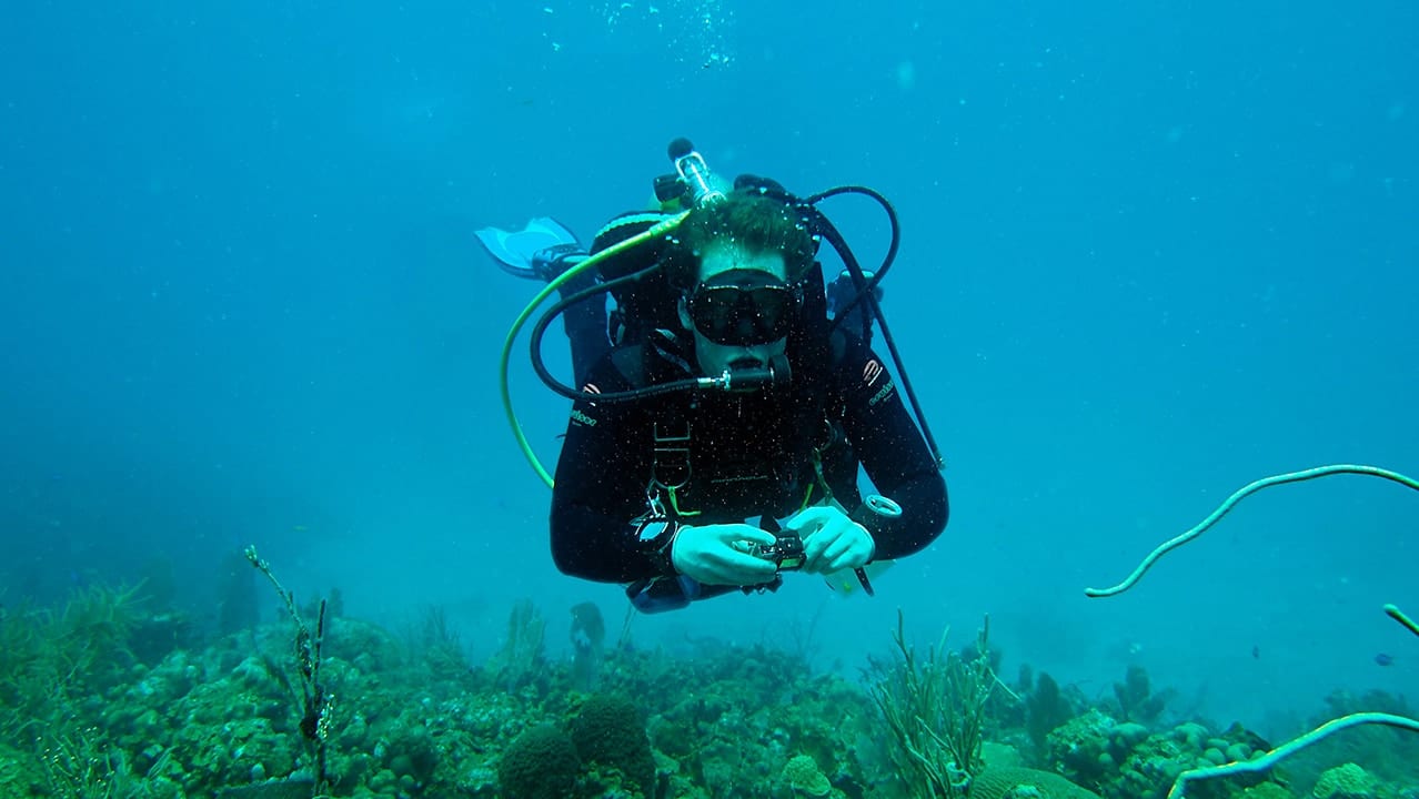 The Sound of a Healthy Reef