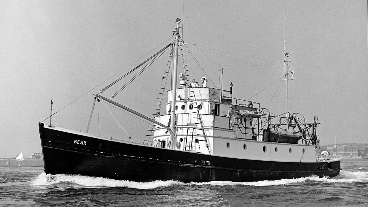 Bear of a Ship