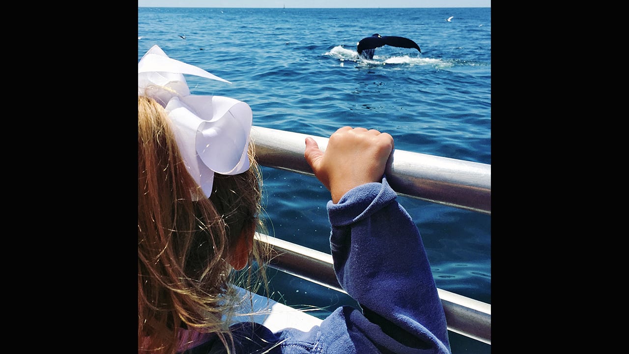 The Ocean in Her Life