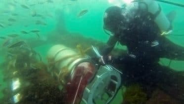 New 13-year Study Tracks Impact of Changing Climate on a Key Marine Food Source