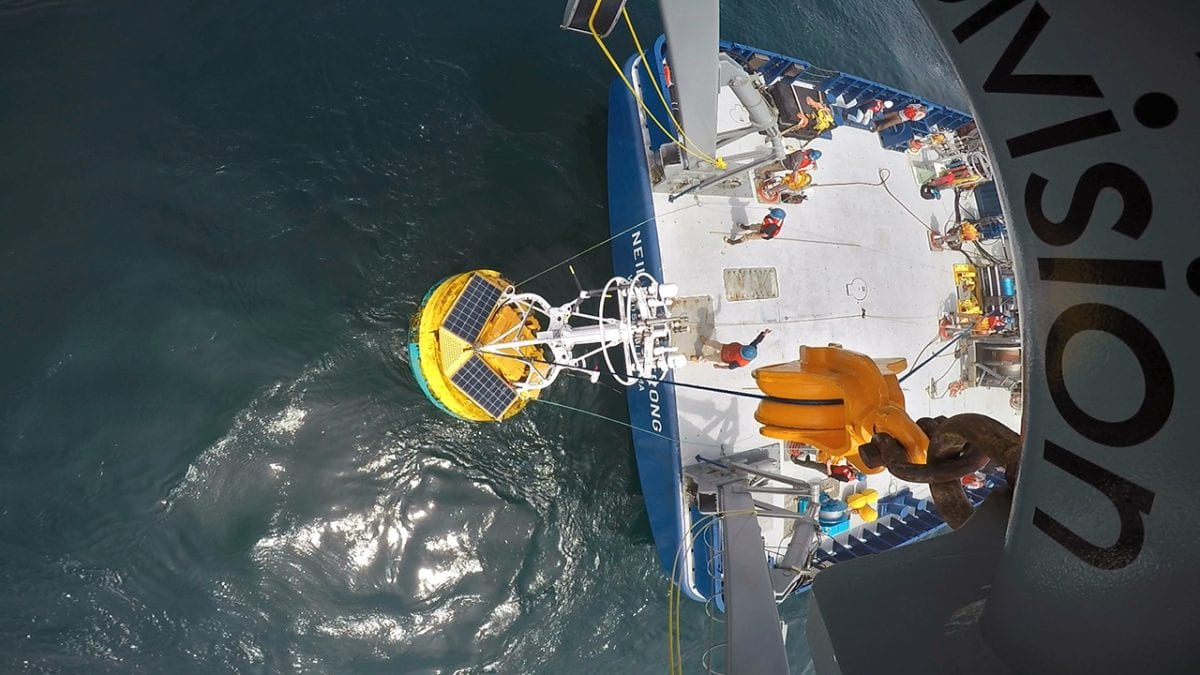 Buoy's Eye View