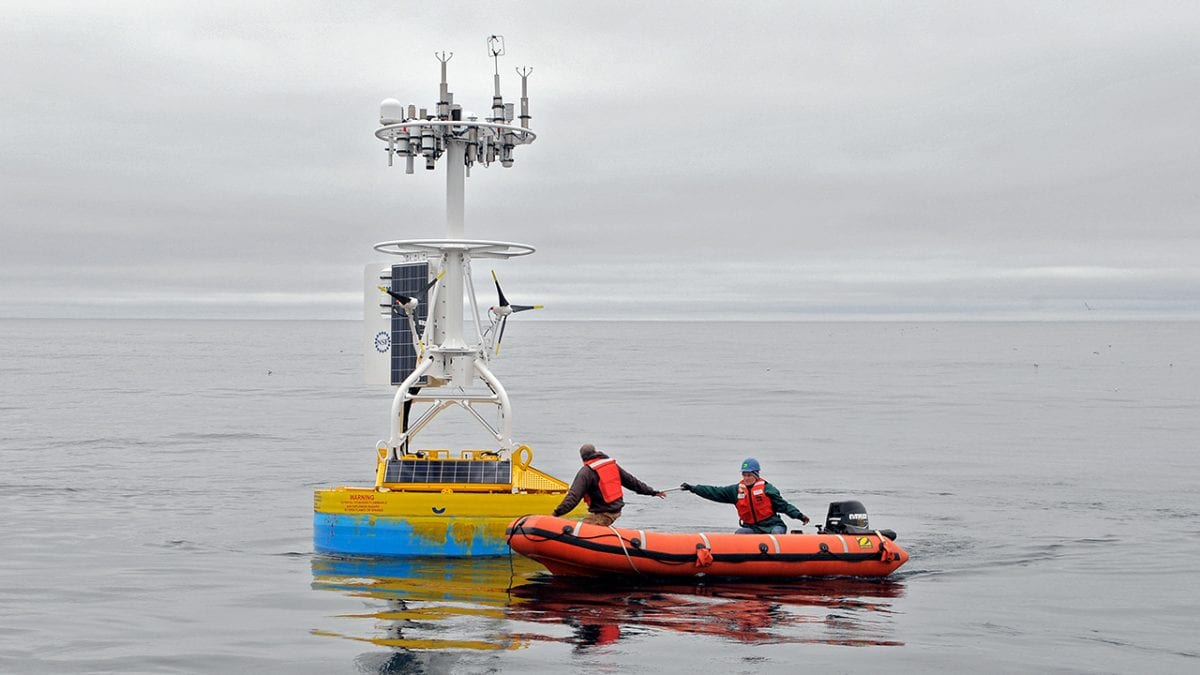 Bringing the Buoys Home