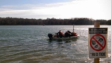 Robots and Red Tide