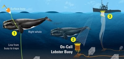 How Would 'On-Call' Buoys Work?