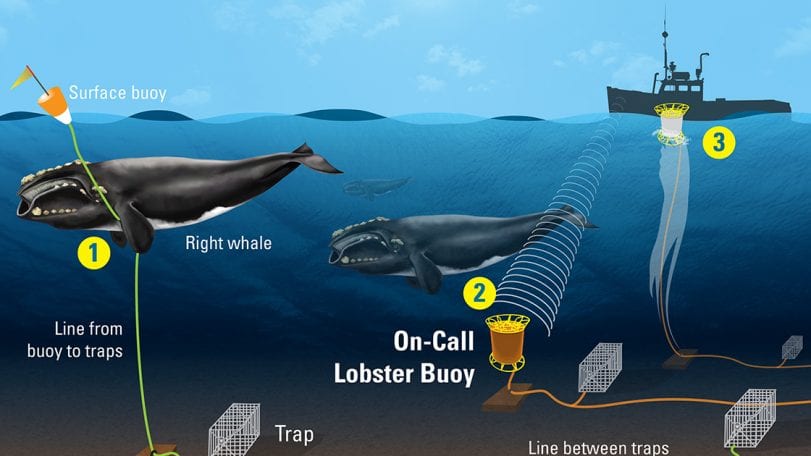 How Would 'On-Call' Buoys Work?