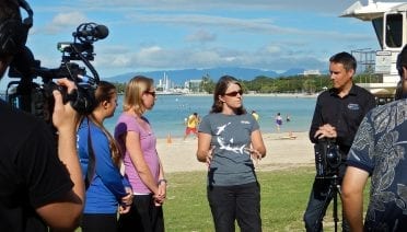 Explaining Coral Bleaching