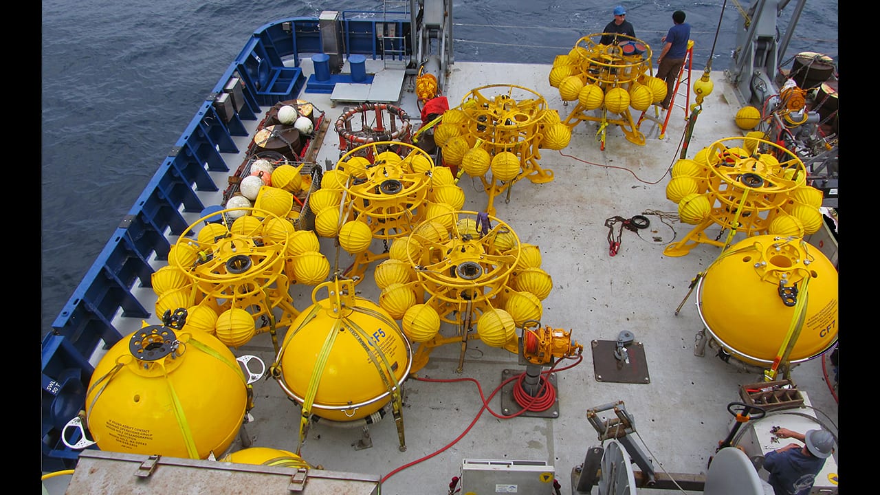 Decked Out in Yellow