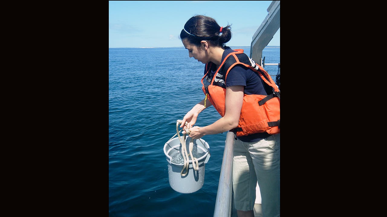 Bucket Brigade