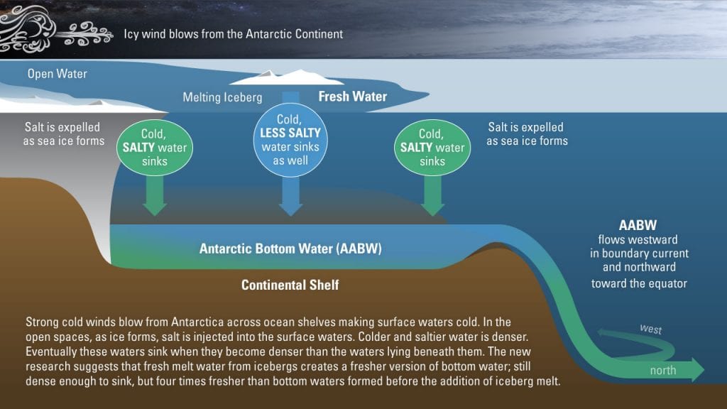 Antarctic Bottom Waters Freshening at Unexpected Rate