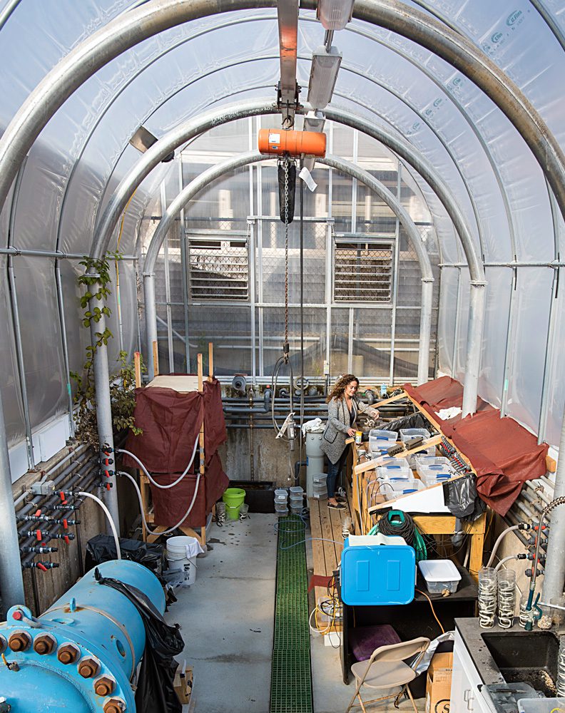 Lillis runs experiments with snapping shrimp i
