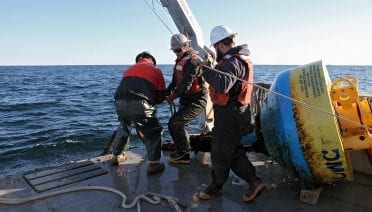 Eavesdropping on Whales