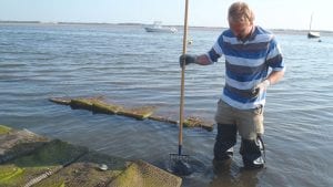 Study Provides Measurement of Nitrogen Removal by Local Shellfish