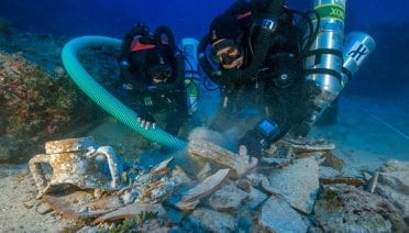 Digging Up the Past