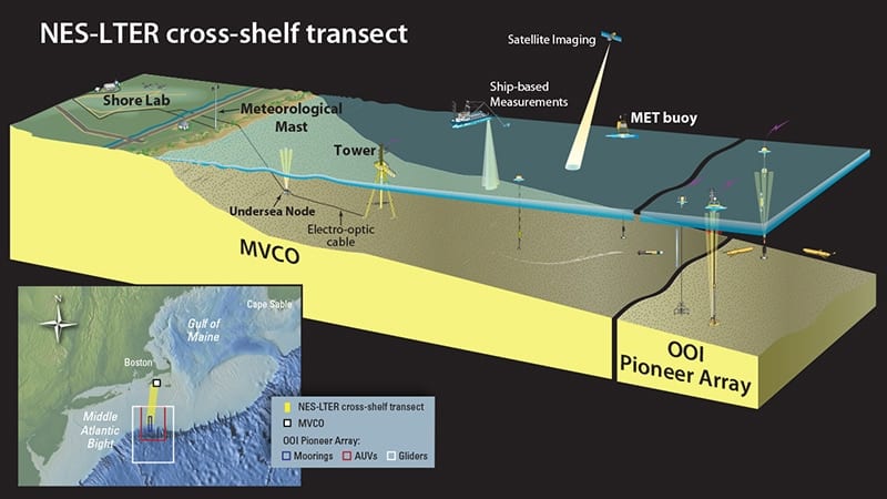 A New Long-Term Ecological Research Site Announced for the Northeast U.S. Shelf