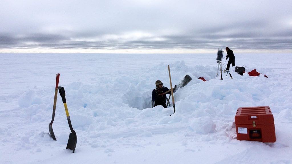 Digging Out
