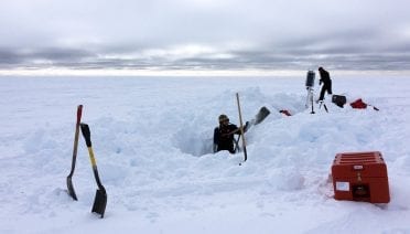 Digging Out