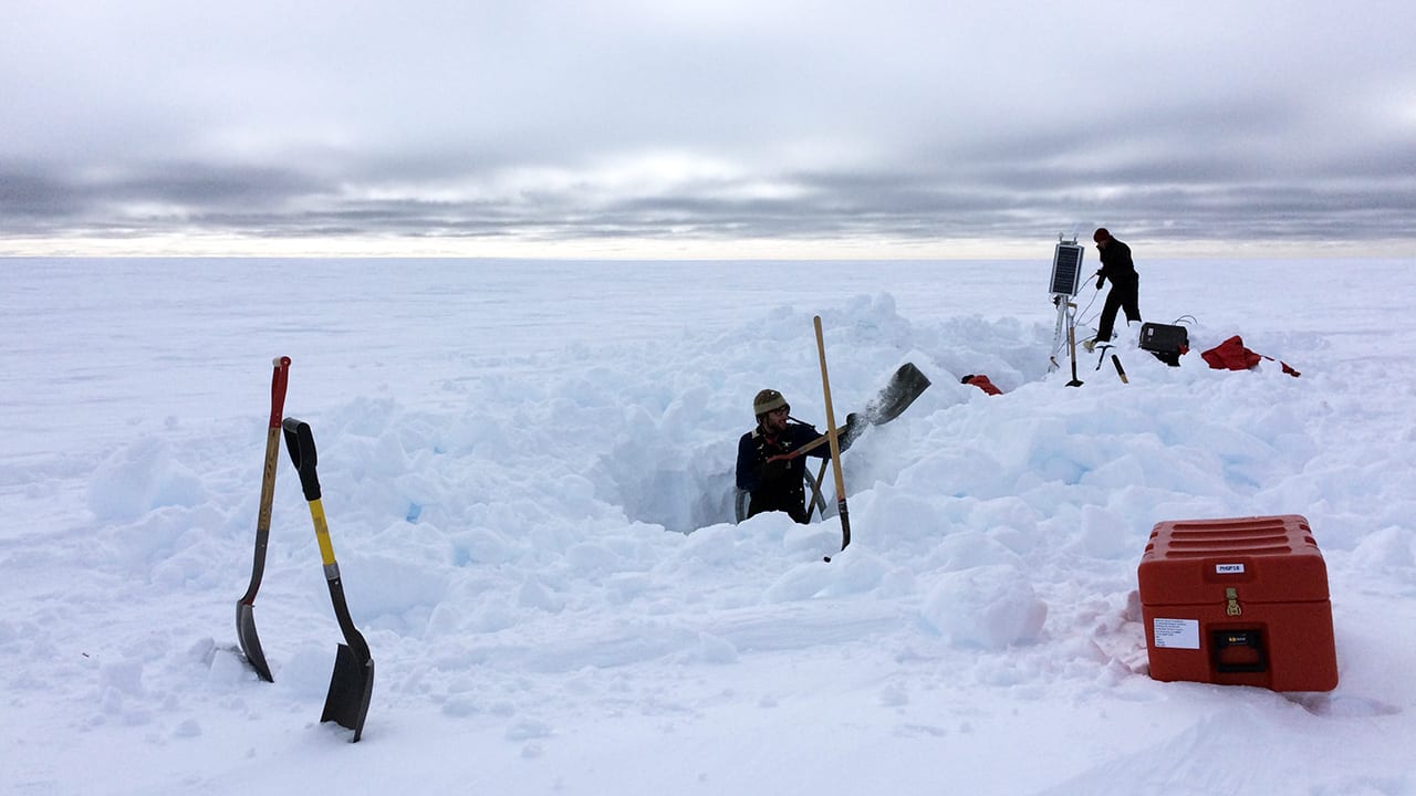 Digging Out
