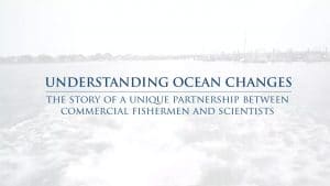 Understanding Ocean Changes