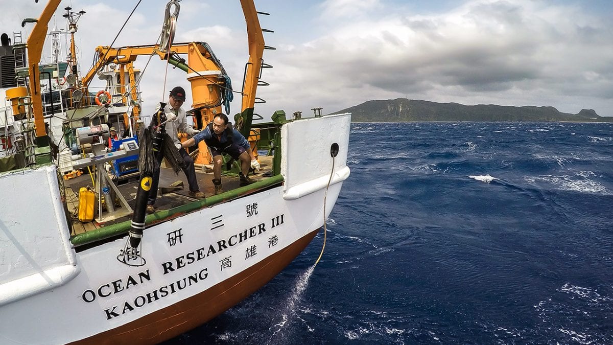Oceanography in Action