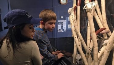 Family Fun
