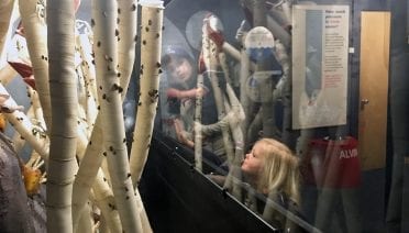 Wonders of the Deep