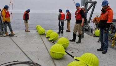 Irminger Sea Recovery