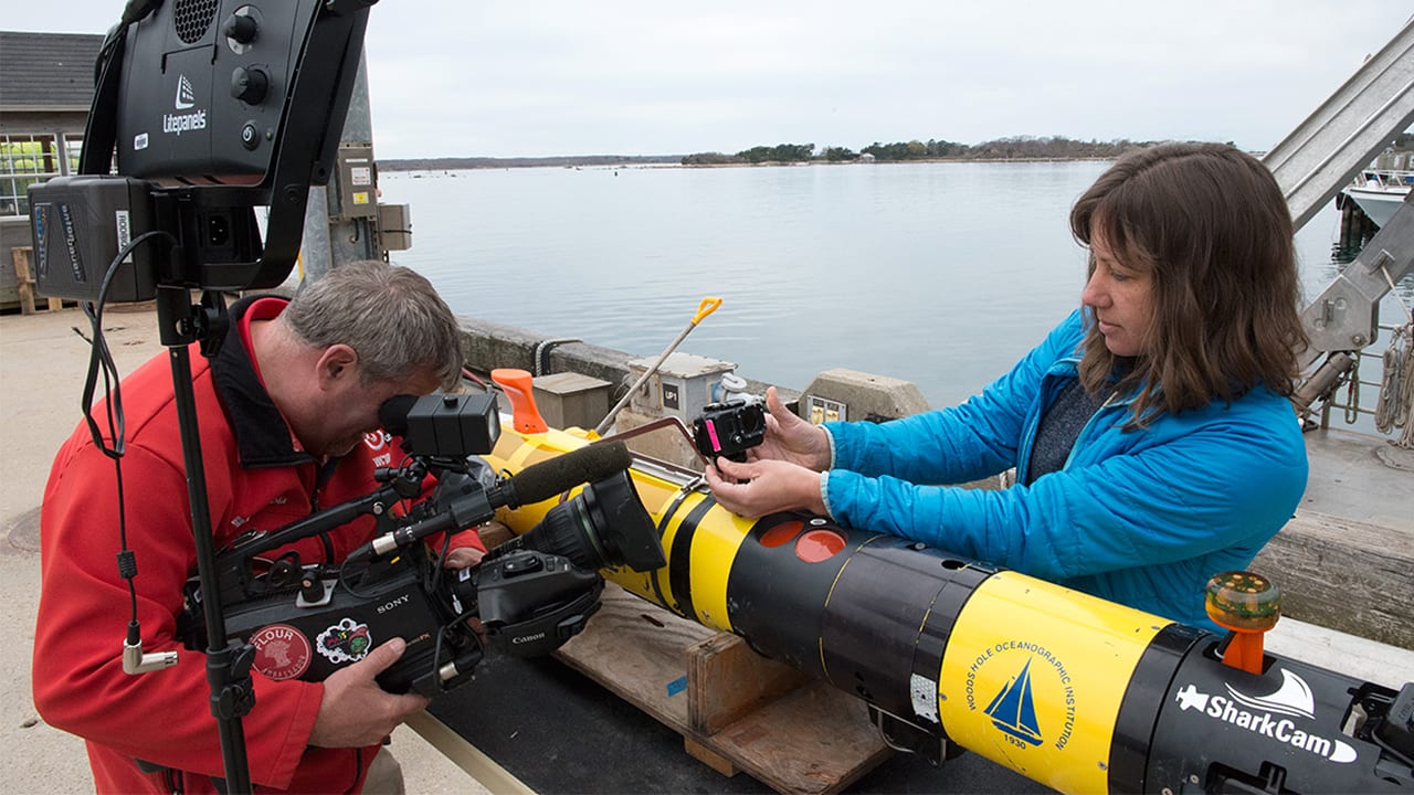 Woods Hole in Focus