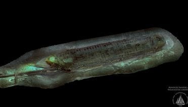 Re-envisioning Underwater Imaging