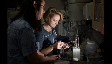 Coral Chemistry
