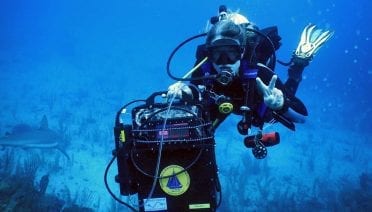 DISCO Diver