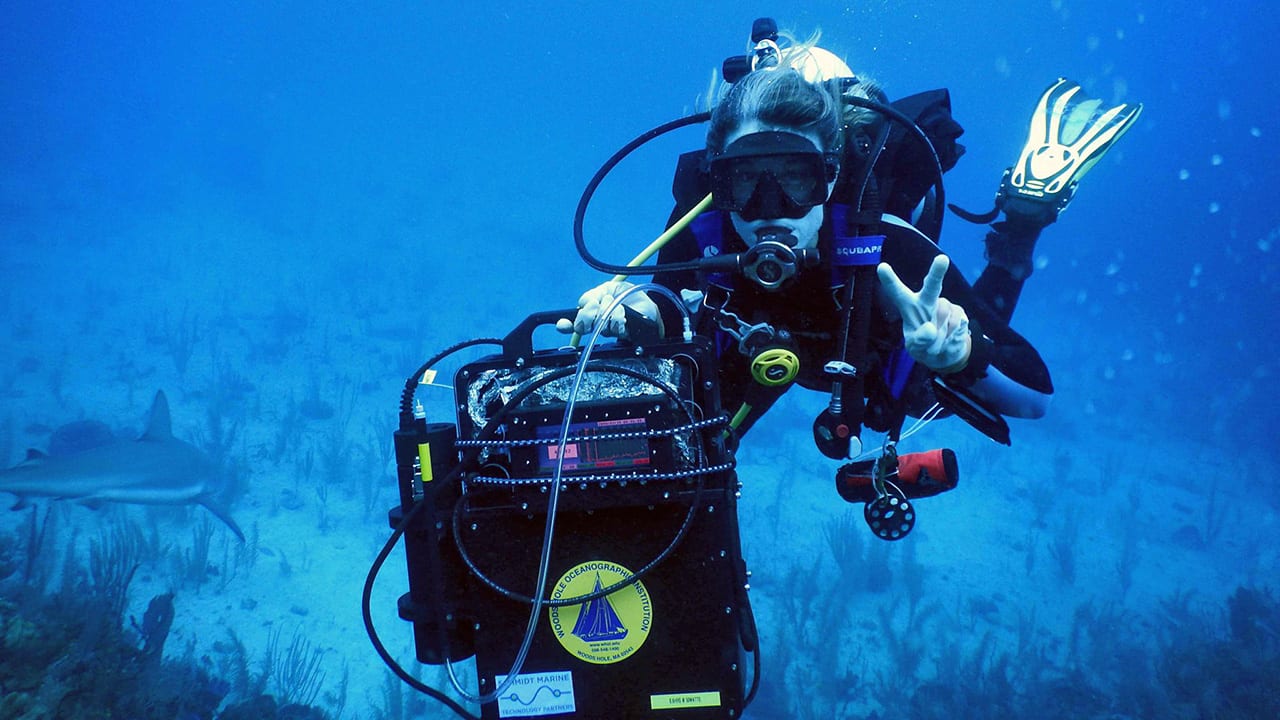 DISCO Diver