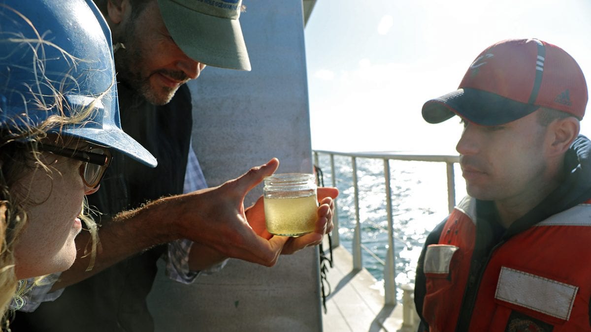 Oceanography, Up Close