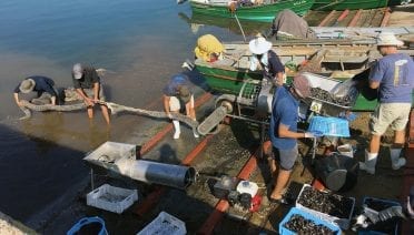 Aquaculture Master Class