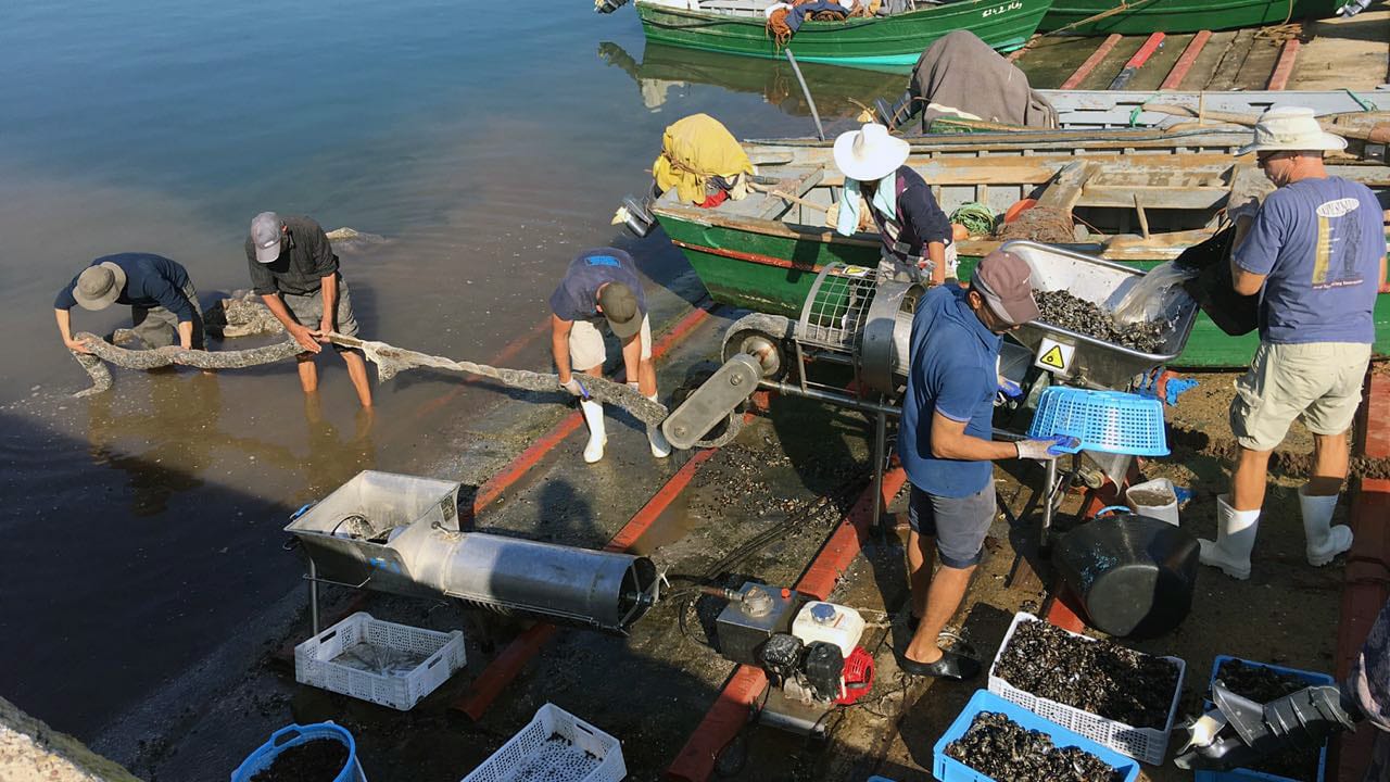 Aquaculture Master Class