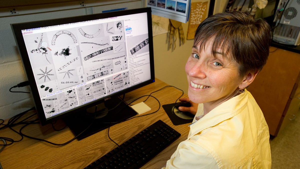 Heidi Sosik Selected as a Fellow of The Oceanography Society