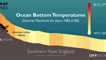 Feeling the Heat in the NW Atlantic