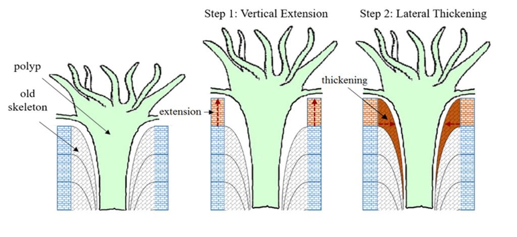 Model_Schematic1280_481053.jpg