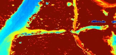 Up in the Sky!