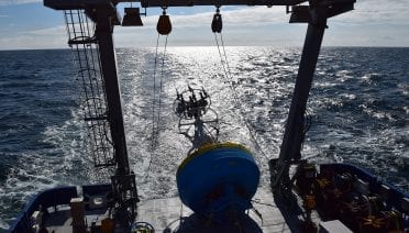 Out to Sea