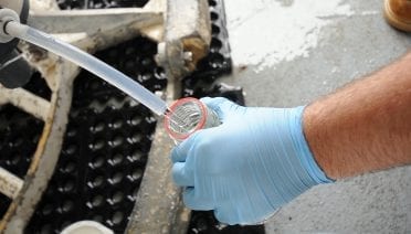 Tracking Fukushima Radioactivity