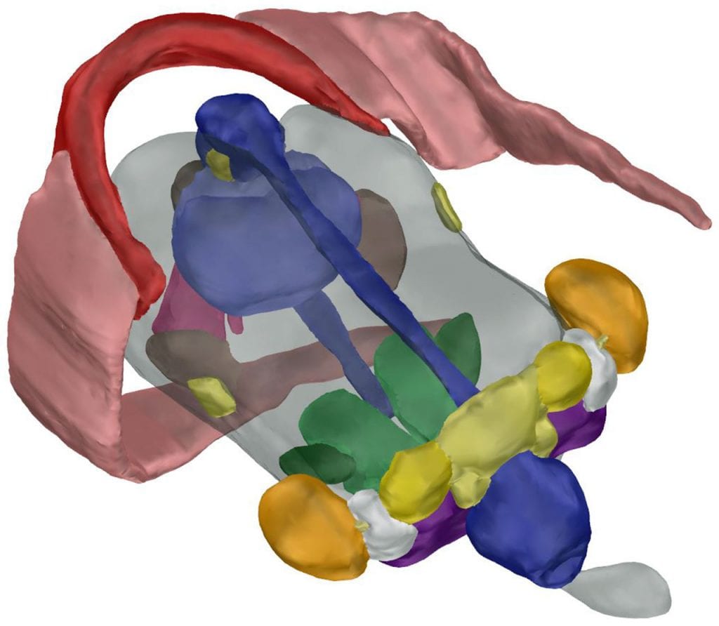 View-of-3D-model1280_484053.jpg