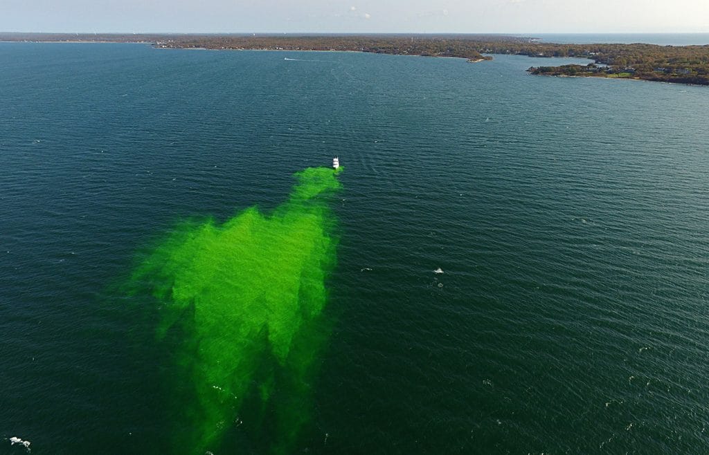To Track an Oil Spill