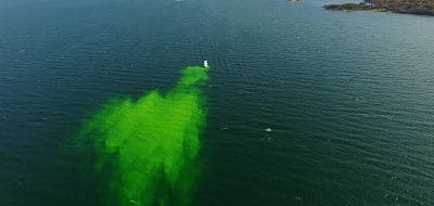 To Track an Oil Spill
