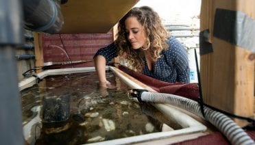 Underwater Soundscapes
