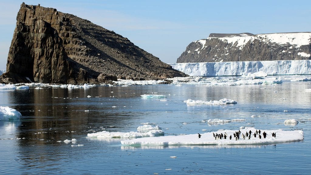 Danger-Islands-penguins-ice_485133.jpg