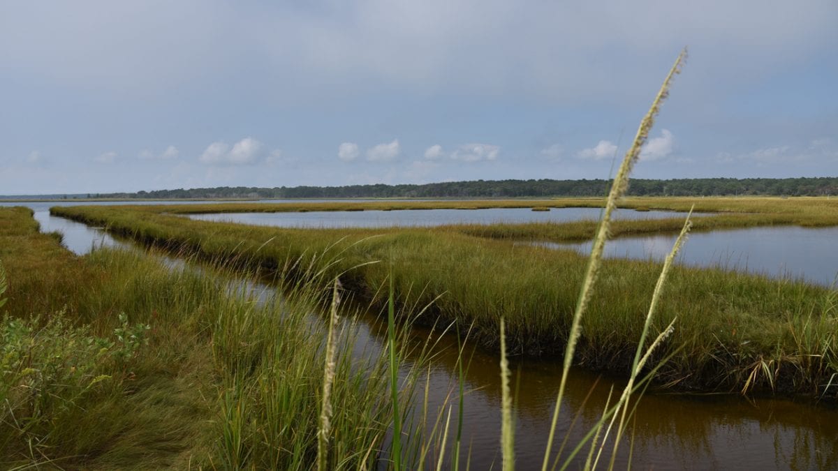 Woods Hole Sea Grant Awards Funds to Six New Coastal Projects