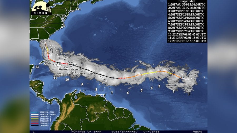 IRMA17-notrack_485555.jpg